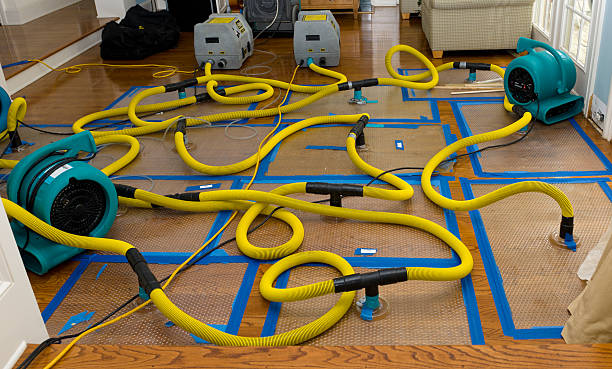 Professional Burst Pipe Water Damage technician working in Corunna, MI